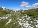 Planina Polog - Vrh Planje